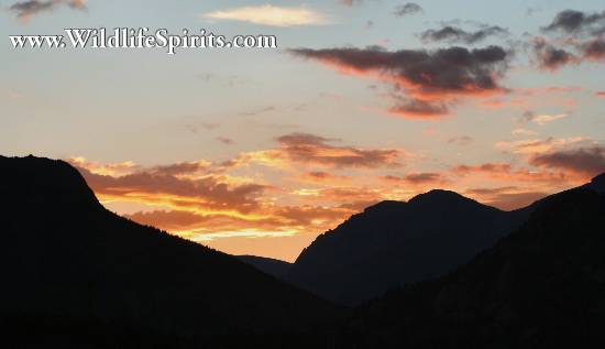 Click Picture to send as an  E-PostCard 55k 550x317